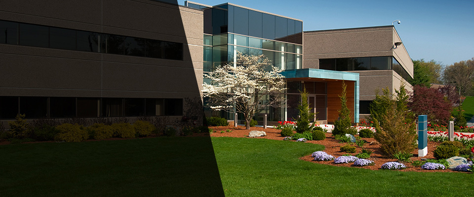 Allendale Landscapers