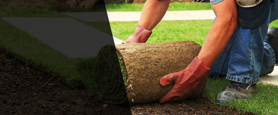 Allendale Landscapers